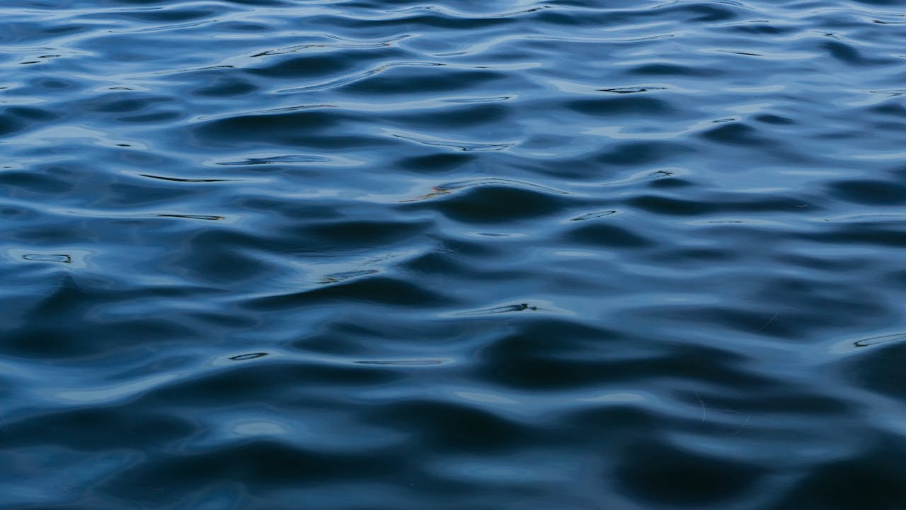 pexels photo 10876804.jpg